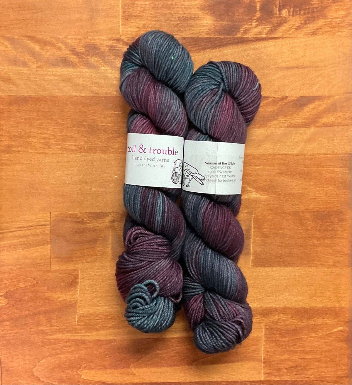 Toil & Trouble Yarns - Cadence DK - 100% SW Merino - Season of the Witch