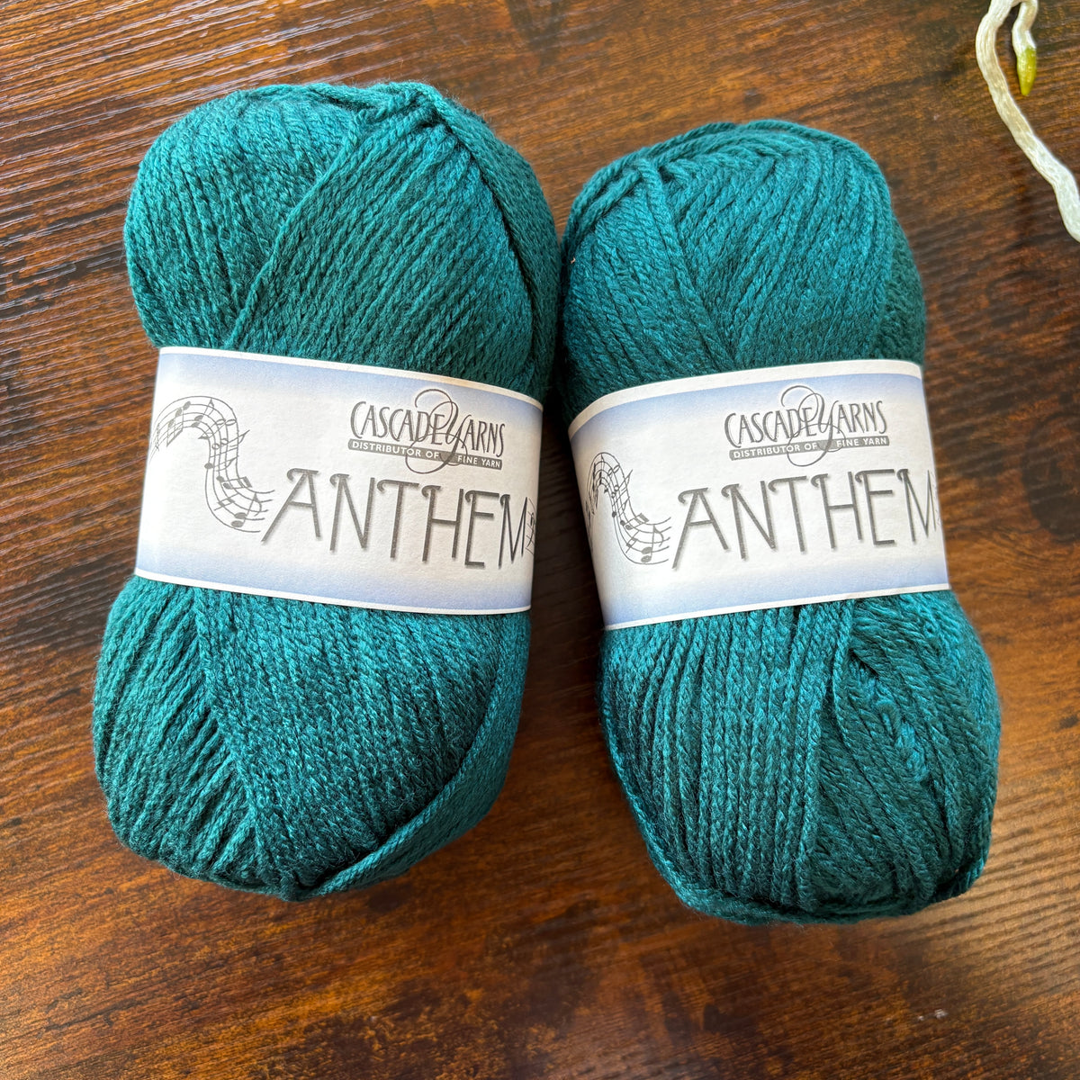 Cascade Yarns - Anthem - Deep Teal 46