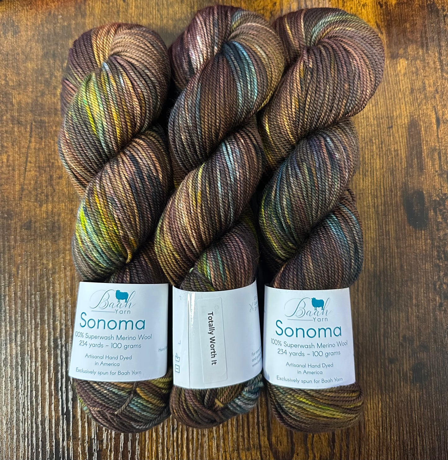 Baah Yarn - Sonoma DK - 100% Superwash Merino - Totally Worth It