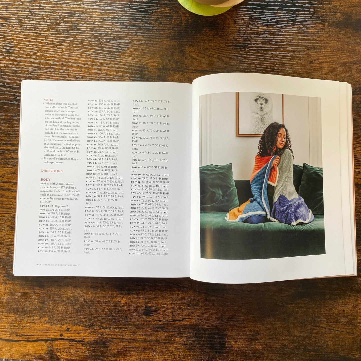 The Tunisian Crochet Handbook - A Beginner's Guide - Toni Lipsey