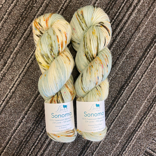 Baah Yarn - Sonoma DK - 100% Superwash Merino - Bluegrass Rhapsody