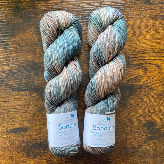 Baah Yarn - Sonoma DK - 100% Superwash Merino - Blue Magic