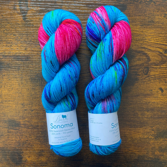 Baah Yarn - Sonoma DK - 100% Superwash Merino - Hanky Panky - Assigned Pooling