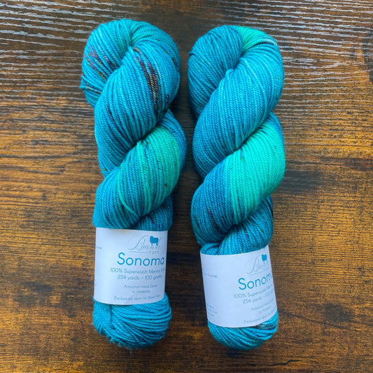 Baah Yarn - Sonoma DK - 100% Superwash Merino - Jitterbug - Assigned Pooling
