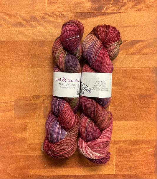 Toil & Trouble Yarns - Cadence DK - 100% SW Merino - In Her Bones