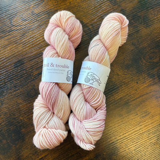 Toil & Trouble Yarns - Crossing the Threshold - Cadence DK