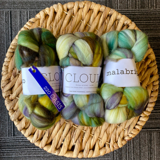 Malabrigo Cloud - Oasis - 100% Superwash Merino Roving- 220