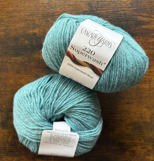 Cascade 220 Superwash - Summer Sky Heather - 1910