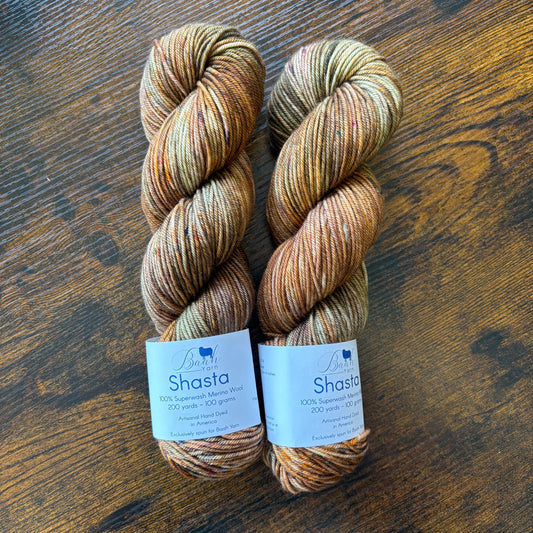 Baah Yarn - Shasta - 100% Superwash Merino - Autumn Vibes